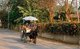 Thailand: Horse-drawn carriage, Wiang Kum Kam, Chiang Mai